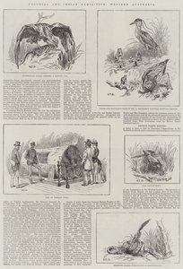 Koloniale en Indiase Tentoonstelling, West-Australië